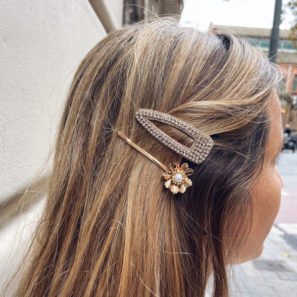 Clip Lupa