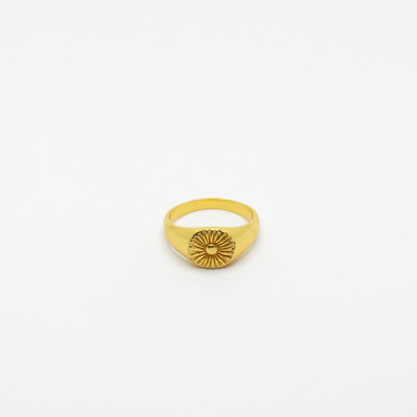 SHELL ANILLO